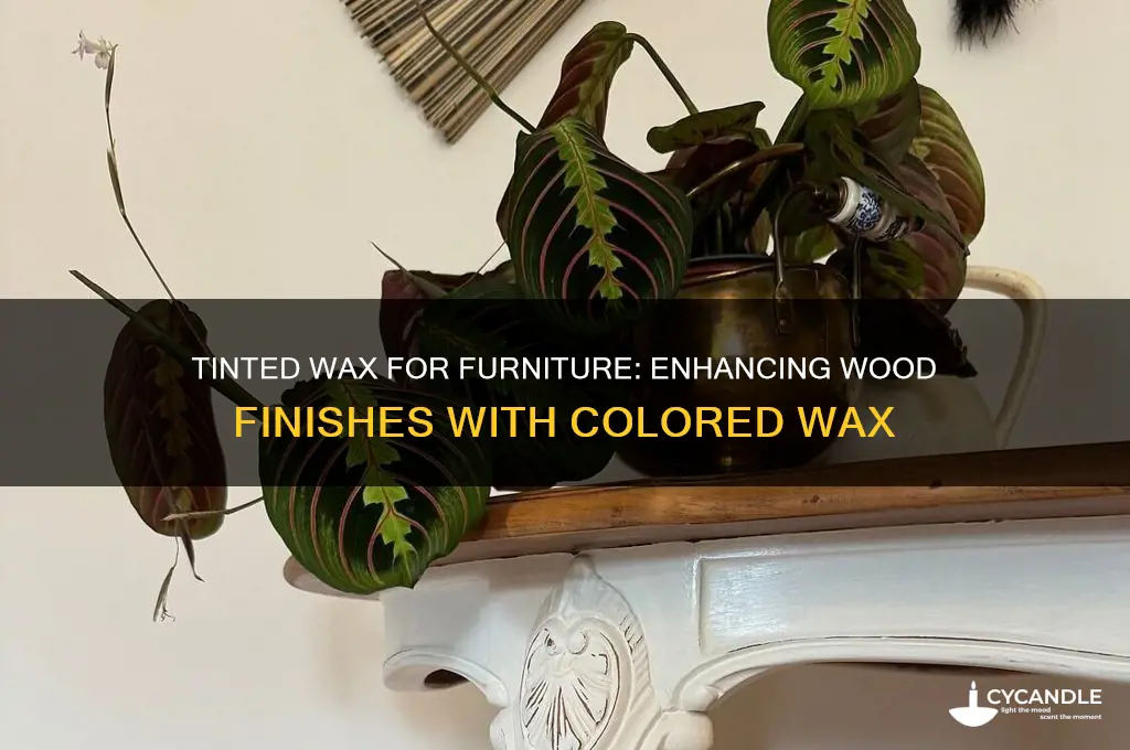 can wax be tinted for furniture