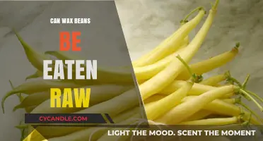 Can Wax Beans Be Eaten Raw? A Nutritional and Safety Guide