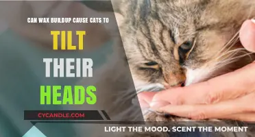 Wax Buildup in Cats: Understanding Head Tilting and Ear Health
