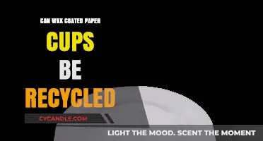 Recycling Wax Coated Paper Cups: What You Need to Know