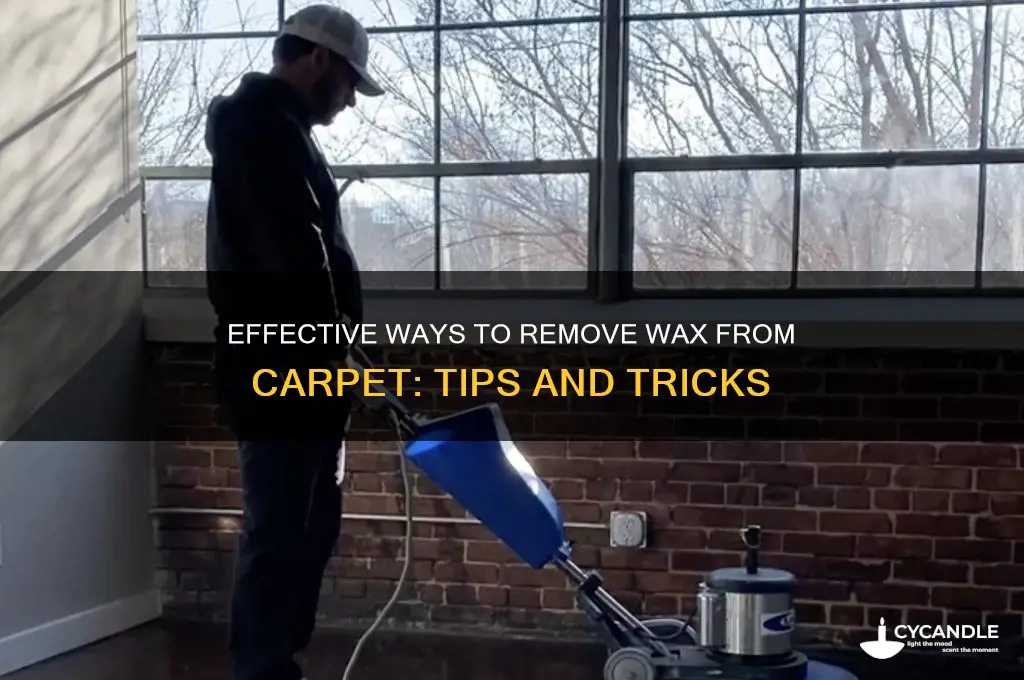 can wax come out of carpet