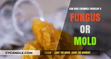 Can Wax Crumble Grow Mold or Fungus? Facts and Prevention Tips