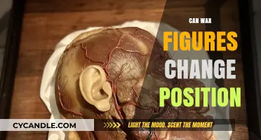 Do Wax Figures Move? Exploring Position Changes in Museums