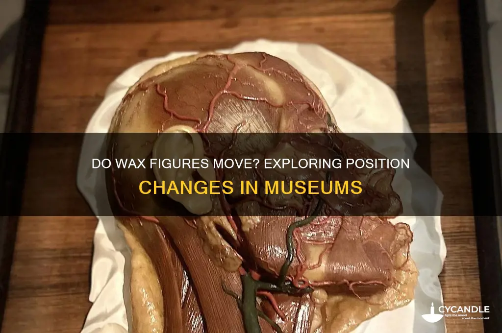 can wax figures change position