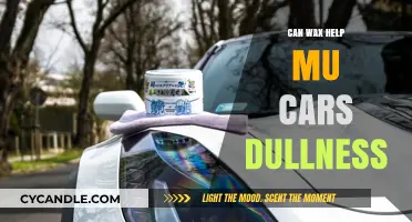 Wax Wonders: Reviving Your Car's Shine and Eliminating Dullness