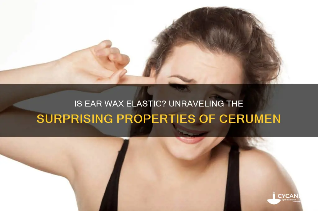 can wax in the ear is elastic