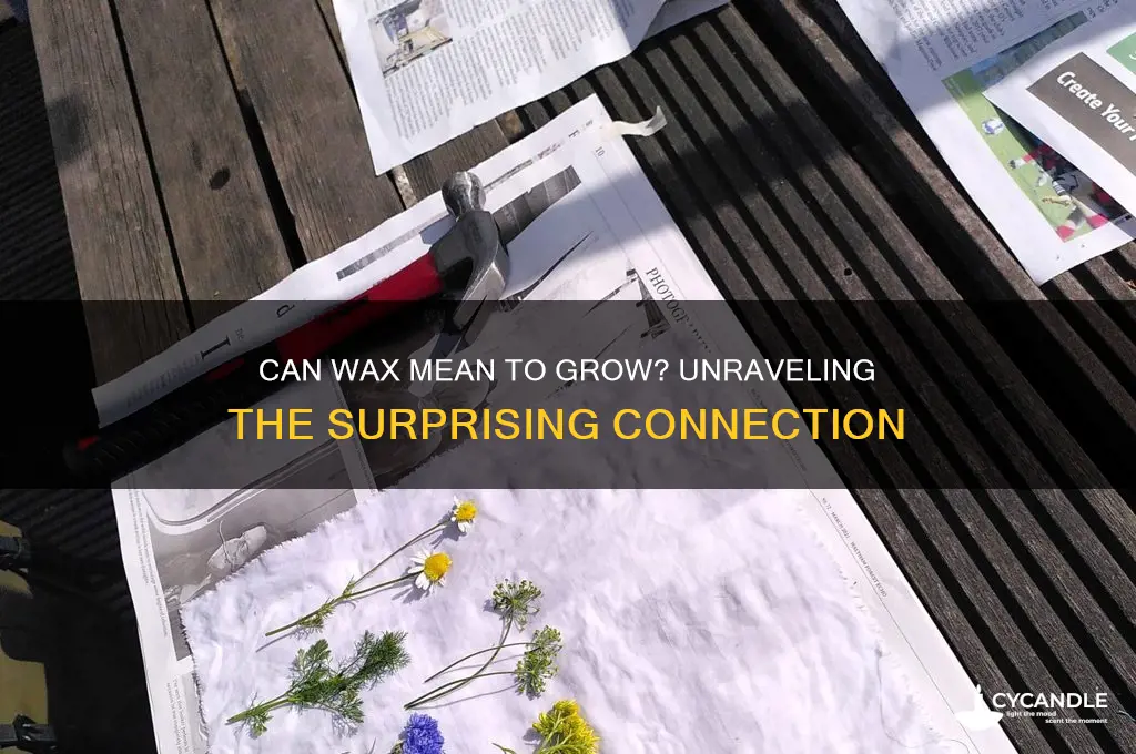 can wax mean to grow