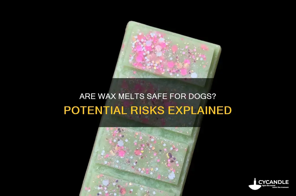 can wax melts be harmful to dogs