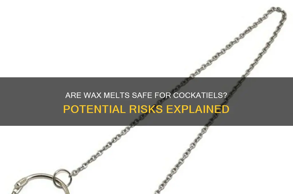 can wax melts bother cockatiel