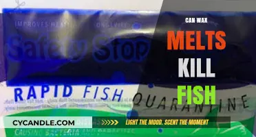 Can Wax Melts Harm Fish? Understanding the Risks and Safety