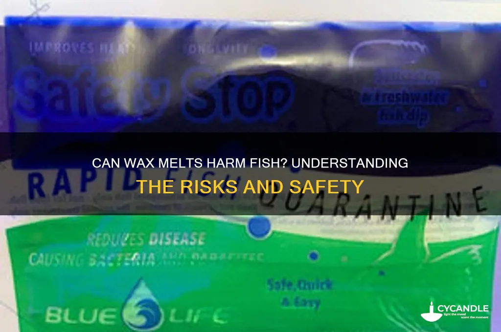 can wax melts kill fish