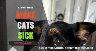 Can Wax Melts Harm Cats? Understanding the Risks and Safety Tips
