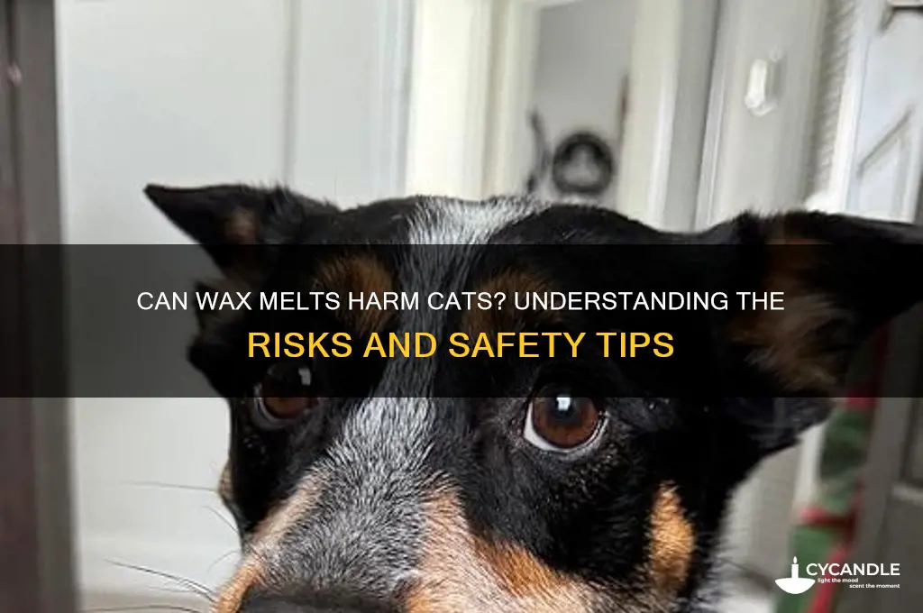 can wax melts make cats sick
