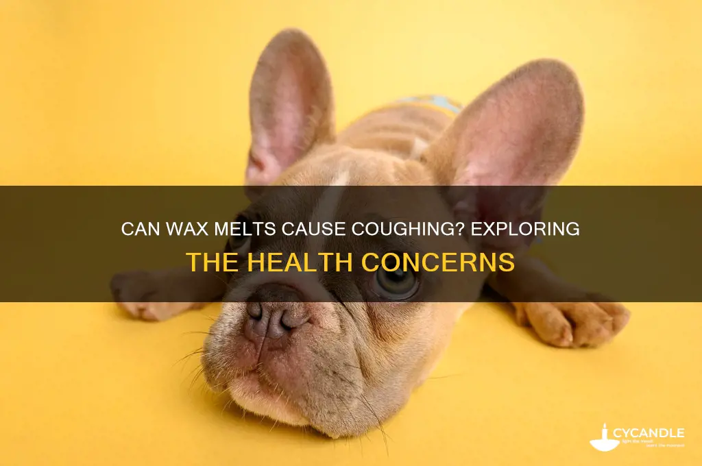 can wax melts make you cough