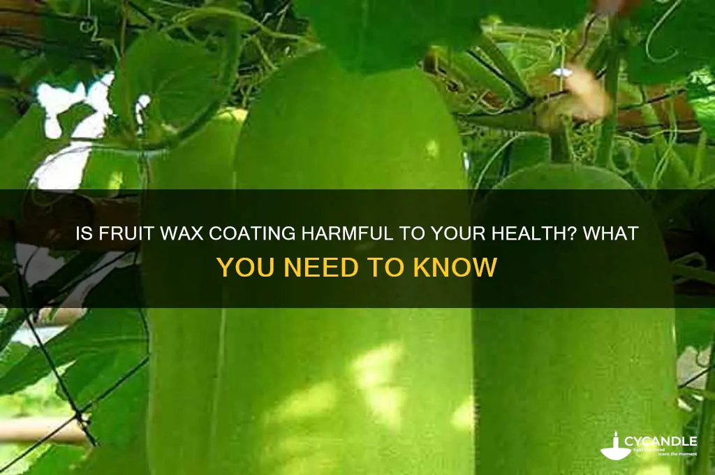 can wax on fruit bad for you