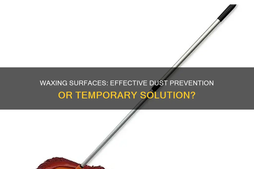 can wax prevent dust settle