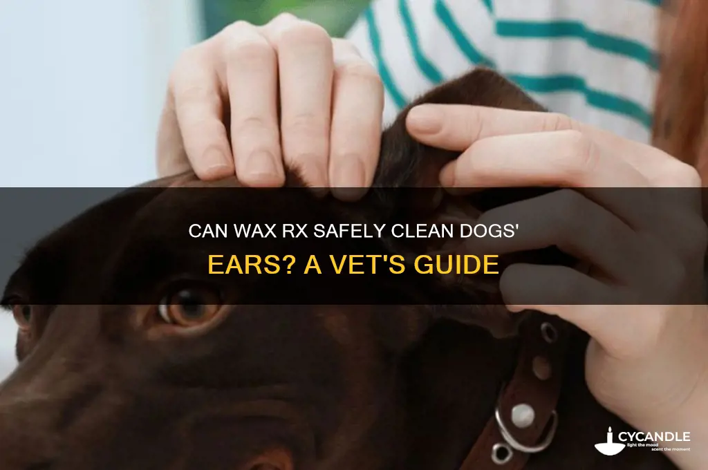 can wax rx be used on dogs