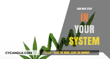 How Long Does Wax Stay in Your System? Facts and Insights