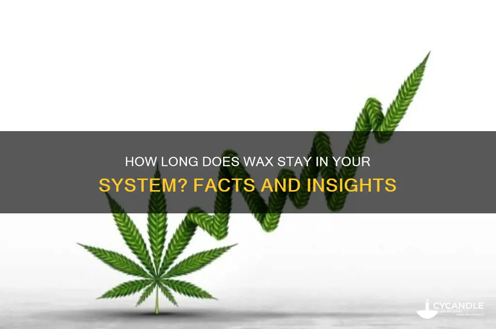 can wax stay in your system