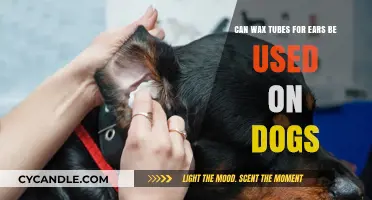 Can Wax Tubes for Ears Safely Clean Your Dog's Ears?