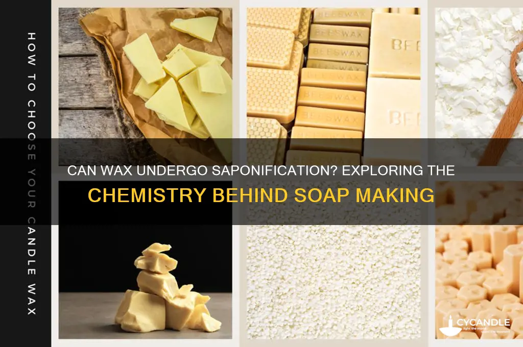 can wax undergo saponification