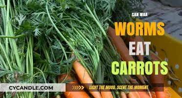 Can Wax Worms Eat Carrots? Exploring Their Dietary Habits