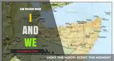 Can Waxaan Mean I and We? Exploring Somali Pronoun Usage