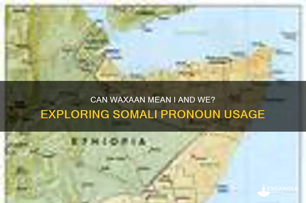 can waxaan mean i and we