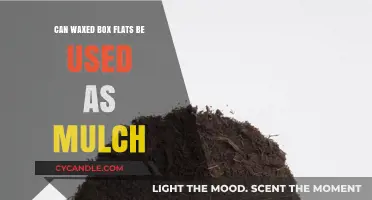 Waxed Box Flats as Mulch: Eco-Friendly Gardening Alternative?