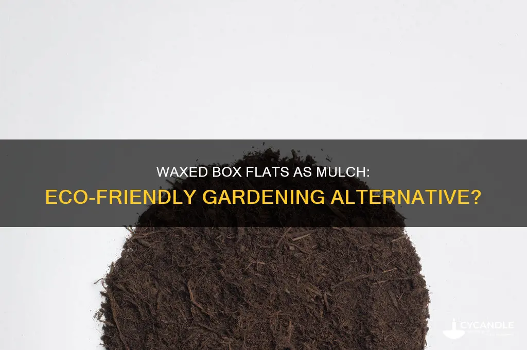 can waxed box flats be used as mulch