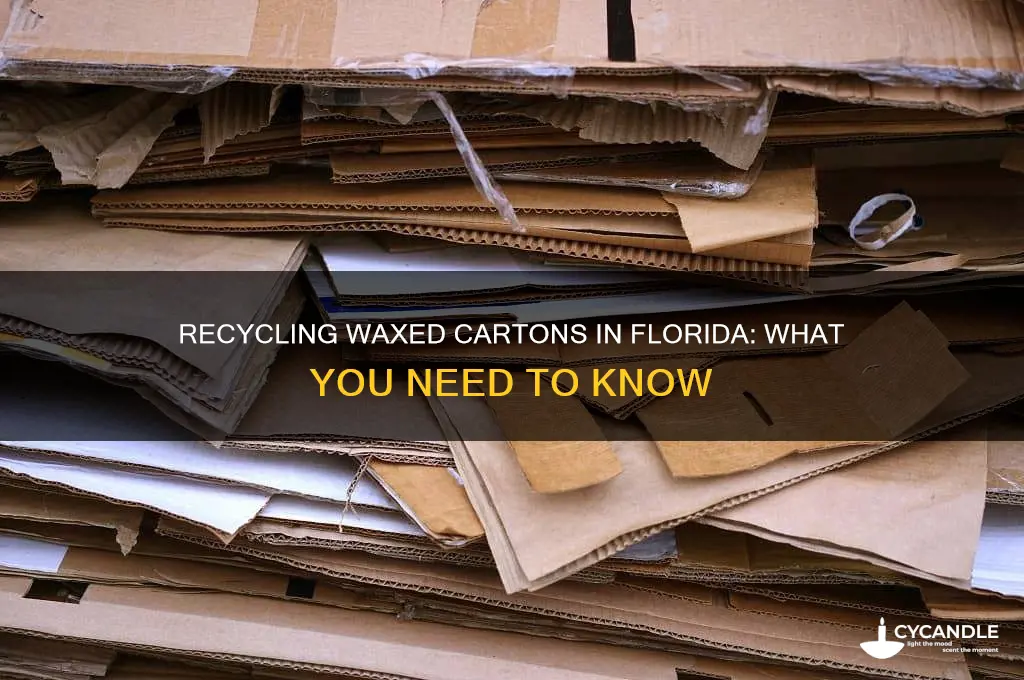 can waxed cartons be recycled in florida