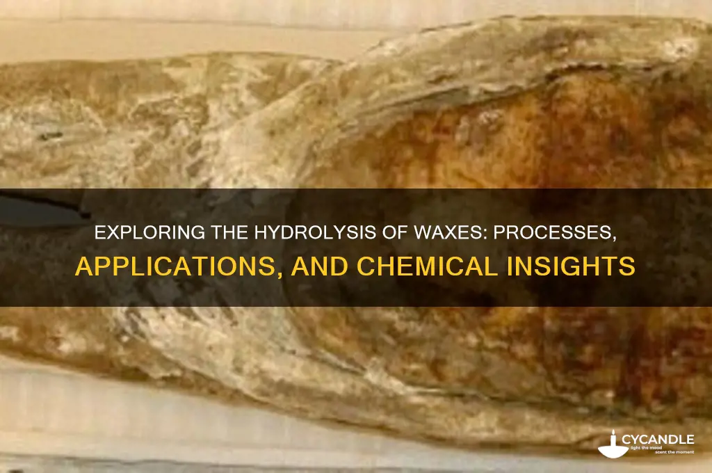 can waxes be hydrolyzed
