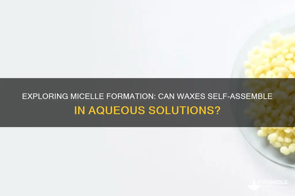 can waxes form a micelle