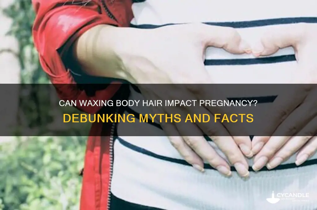 can waxing body hair affect pregnancy