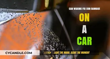 Can Waxing Reverse Sun Damage on Your Car's Exterior?