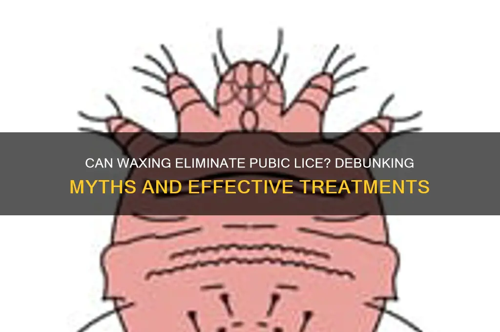 can waxing get rid of crabs