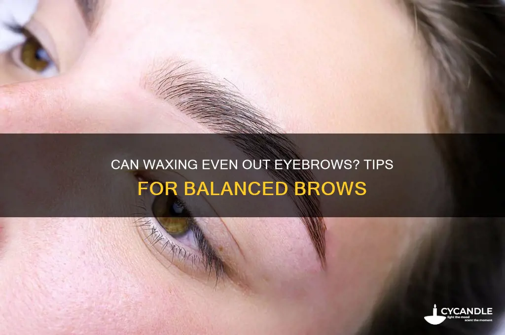 can waxing help even out eyebrows
