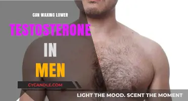 Does Waxing Impact Men's Testosterone Levels? Separating Fact from Fiction