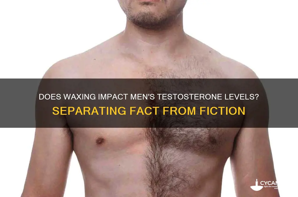 can waxing lower testosterone in men