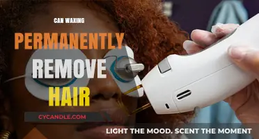 Does Waxing Offer Permanent Hair Removal? Separating Fact from Fiction