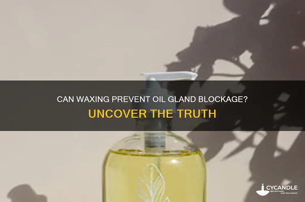 can waxing prevemt oil gland blockage