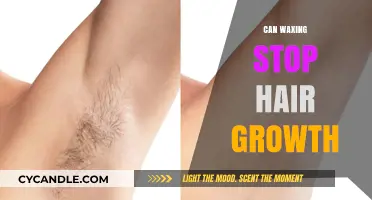 Can Waxing Permanently Stop Hair Growth? Debunking Myths and Facts