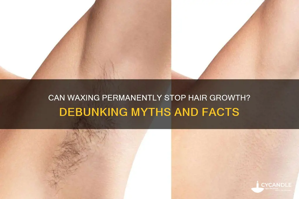 can waxing stop hair growth