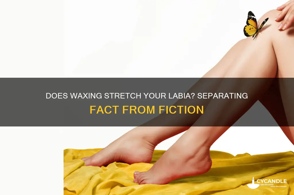 can waxing stretch your labia