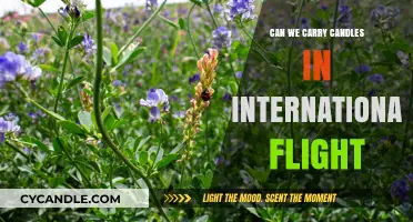 Can You Pack Candles in Checked Luggage for International Flights?