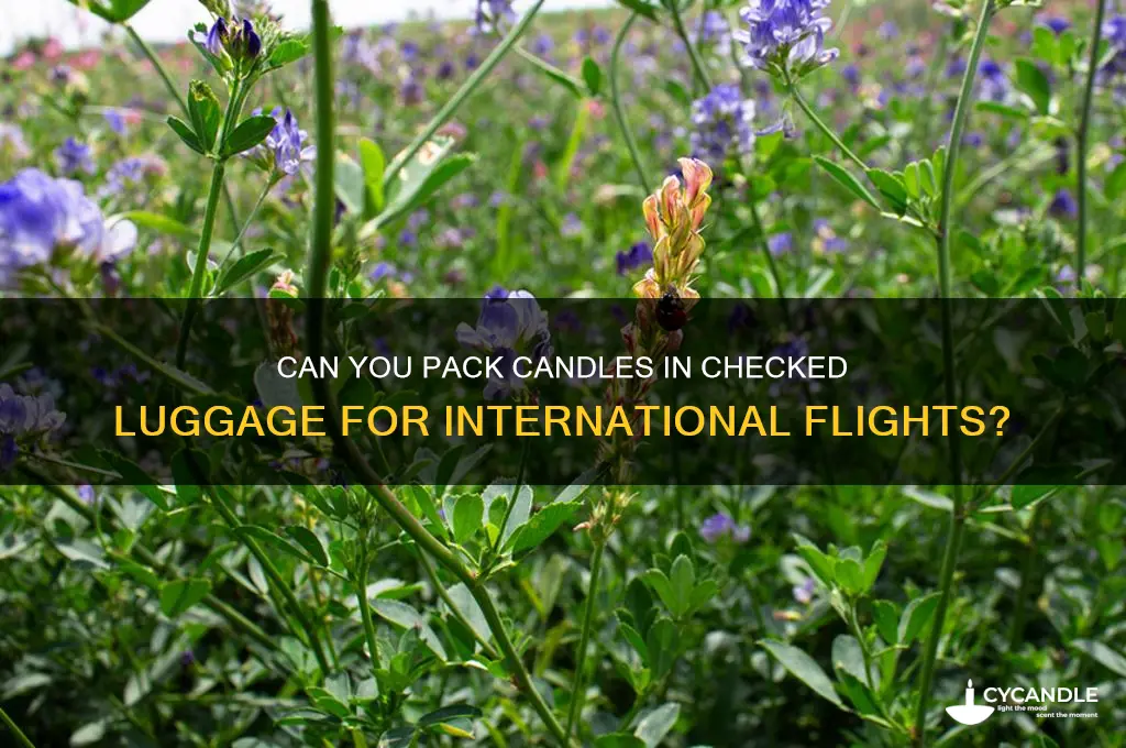 can we carry candles in international flight