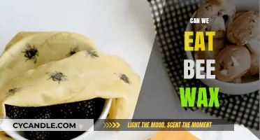 Is Beeswax Edible? Exploring Its Uses and Safety in Food