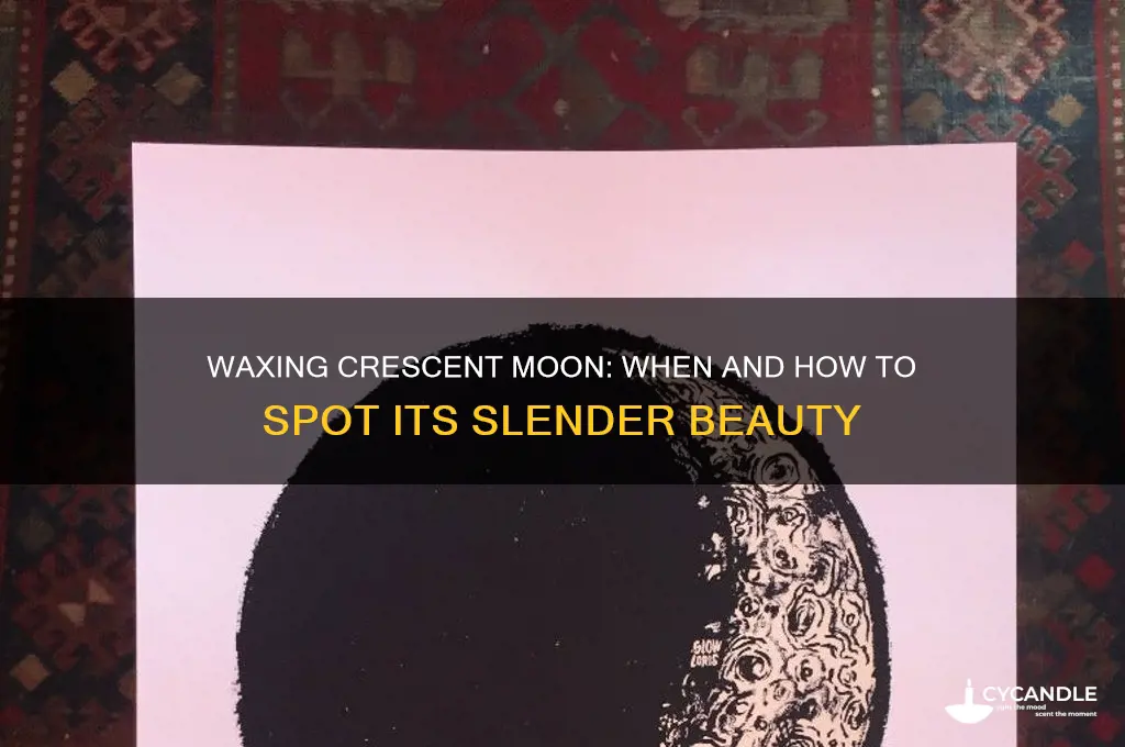 can we see the moon in waxing crecent phase
