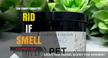Can Yankee Candle Eliminate Odors? A Comprehensive Guide to Freshening Your Space