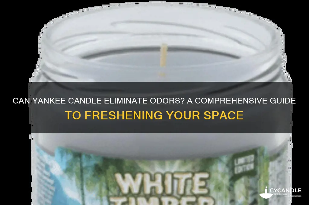 can yankee candle get rid if smell